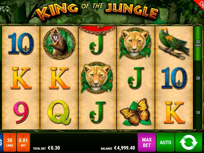 Eine kurze Expertenmeinung zu King of the Jungle Slot
